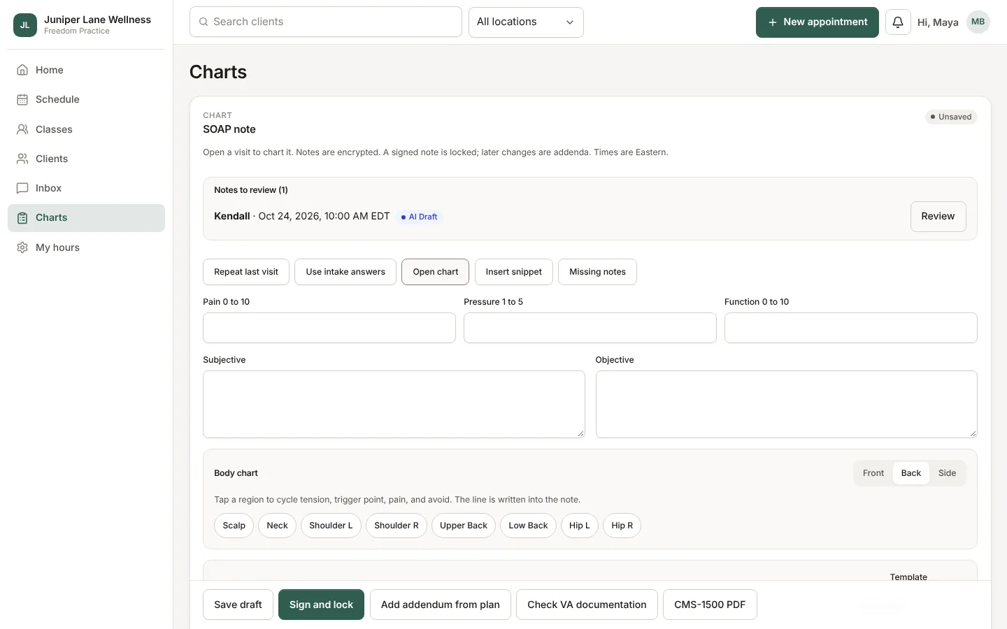 A visit note with quick text and the body chart.