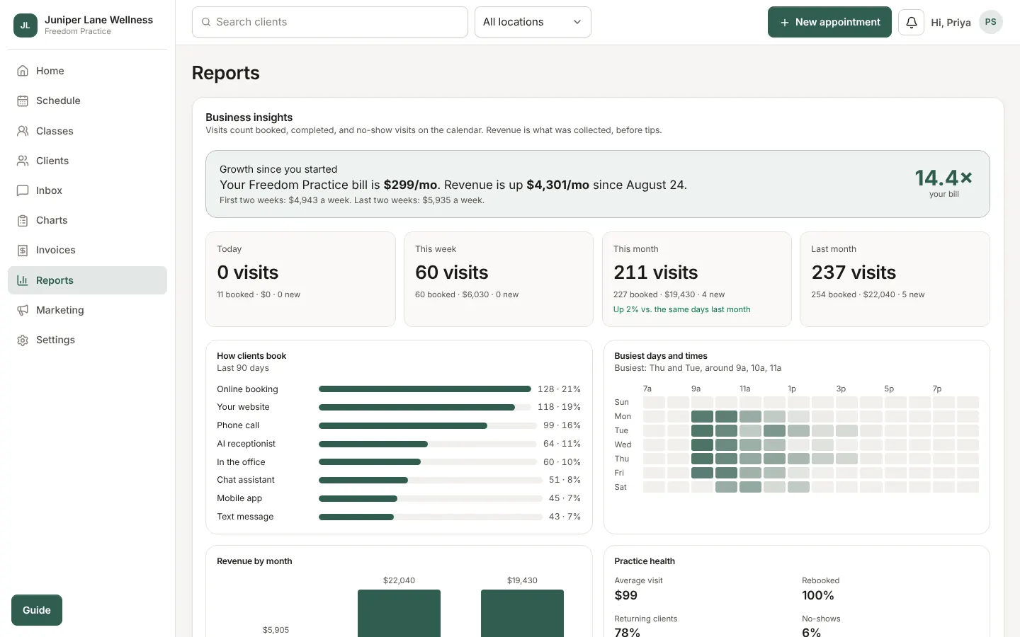 Business insights: visits this week and month, how clients book, busiest hours, and revenue by month.