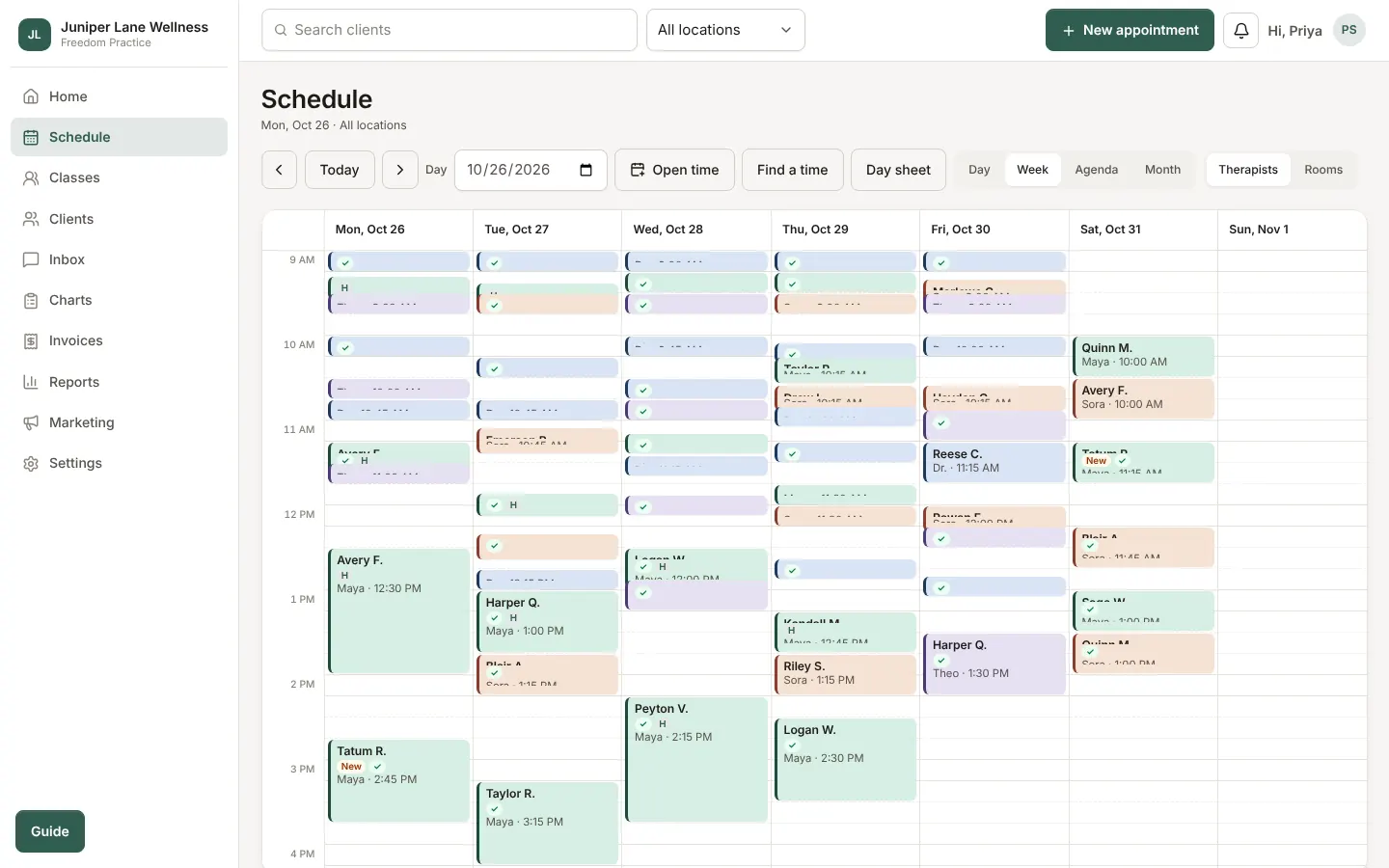 The staff schedule: a week of visits for each practitioner, color-coded by service.