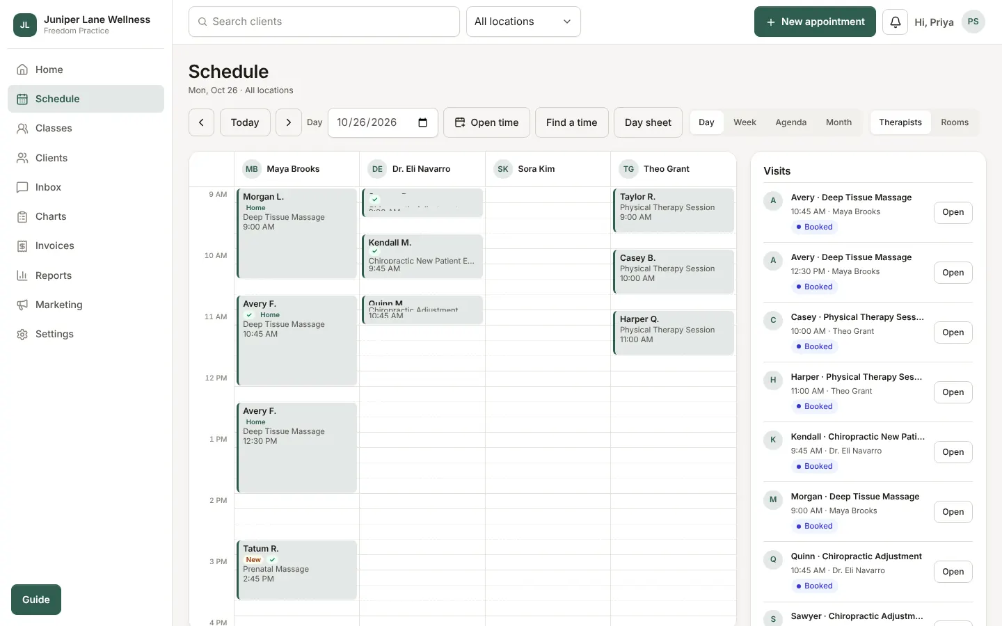 A day on the schedule, one column per practitioner, with the day's visit list beside it.